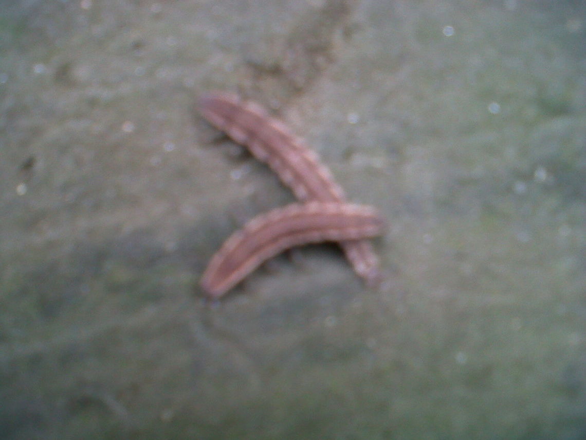 SameIMG01362-20160714-0653 It&#039;s same to previous pics