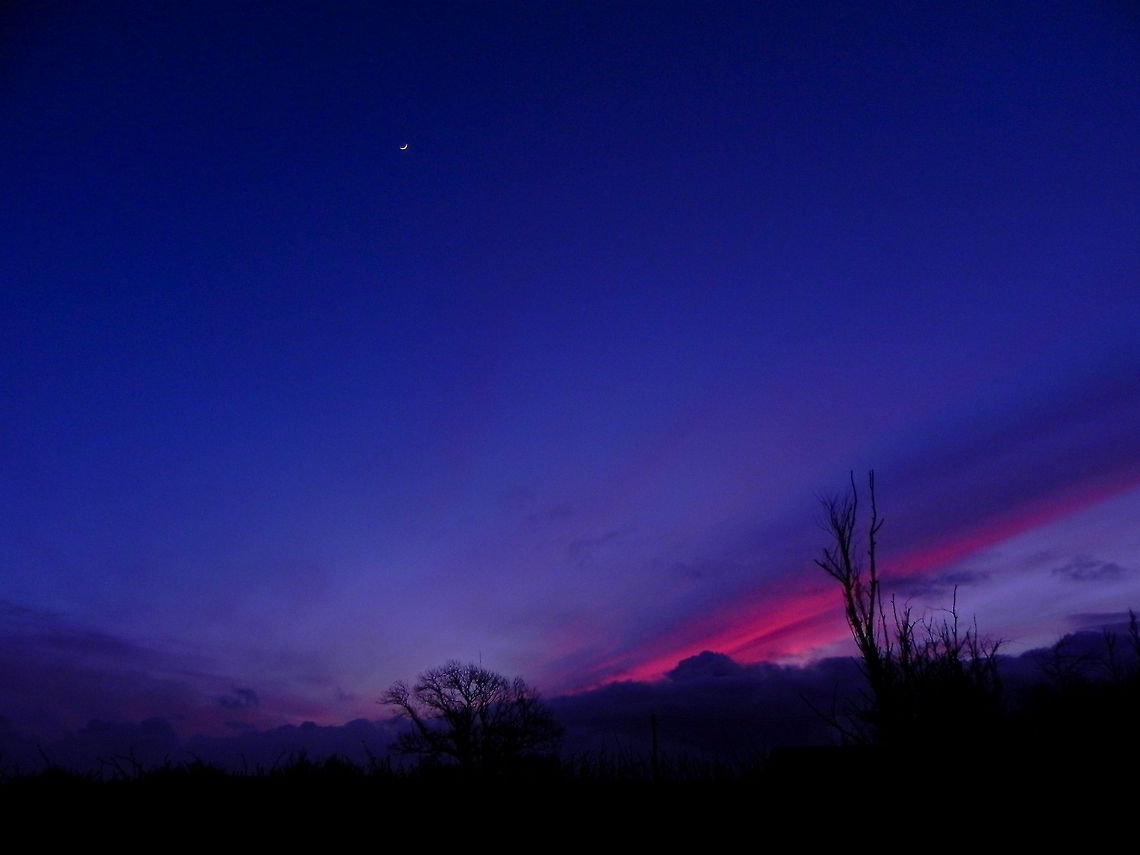 Purple pink sunset The garden is south facing, we're close to a main road &amp; unfortunately West is over that said main road, but in the Winter it's closer to the end of the garden! Sky,Sunset