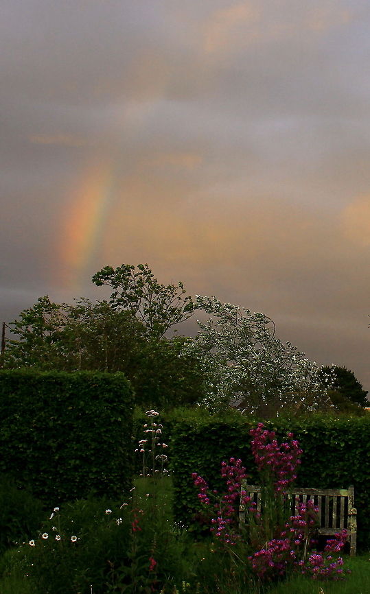 Rainbow over Garden True to the colour &amp; light of the evening, no edit one bit! Clouds,Garden,Rainbows,Skyscapes,Weather