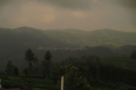 The Awesome Nilgiris This picture is a beautiful scenery taken in the Nilgiris on a misty evening.