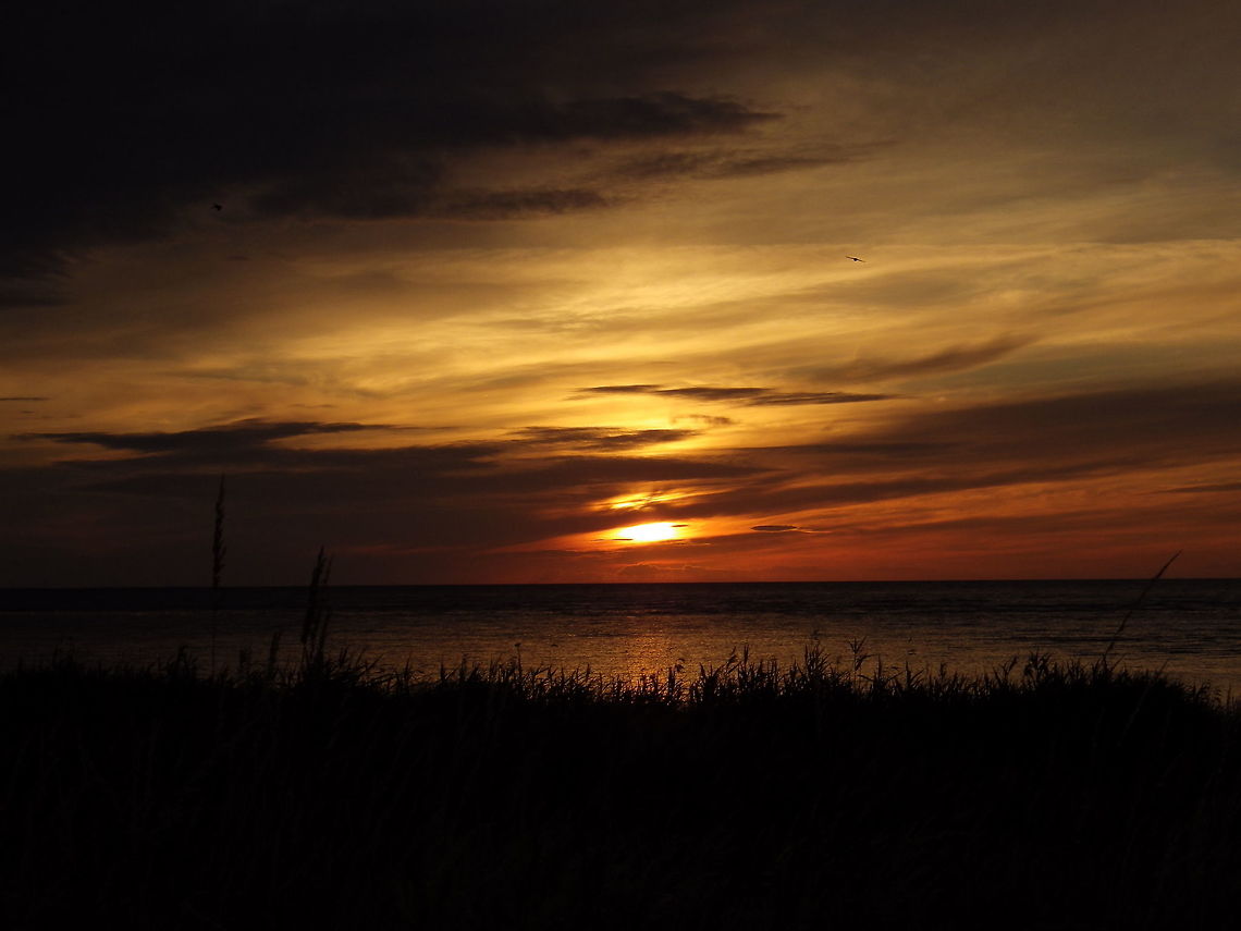 Sundown at B&oslash;nnerup ,Denmark  Denmark,Geotagged,Summer