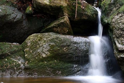 Tumbling_Run_Waterfall From a trail in Michaux State Forest in PA Geotagged,Summer,United States,Waterfall,Woods,outdoor
