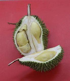 Luscious, creamy durian Haha... Everyone knows about this Asian delicacy by now. Who likes it, and who loathes it? Can we see a show of hands? :D Durio zibethinus,Fall,Geotagged,Malaysia,durian