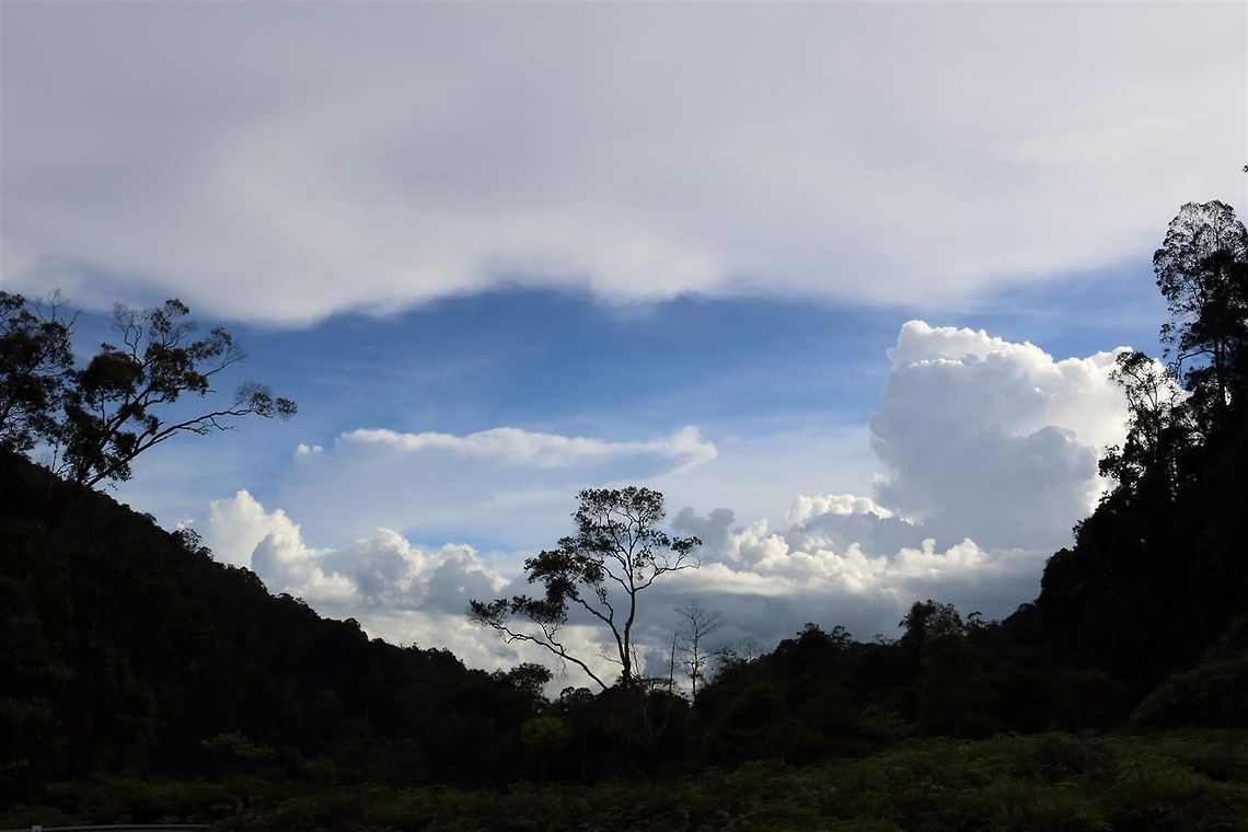 On a sultry Sunday afternoon...  clouds,skyscape