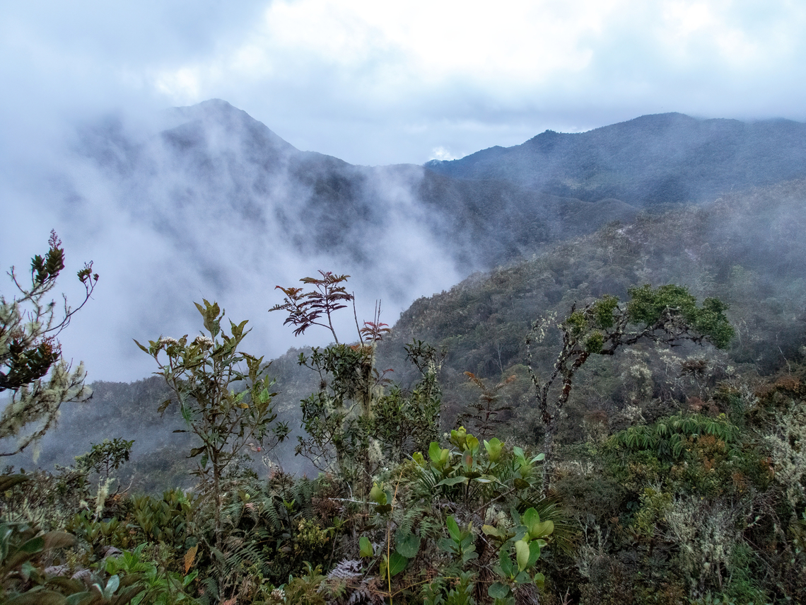 ACP Hierba Buena Allpayacu (Amazonas, PE) 9 Jul 2022 Geotagged,Peru,Winter