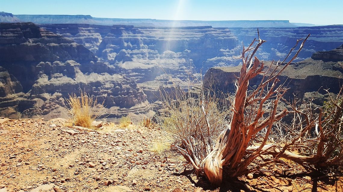 Wild America Grand canyon  Geotagged,United States,america,grandcanyon,landscape