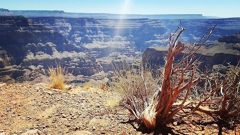 Wild America Grand canyon  Geotagged,United States,america,grandcanyon,landscape