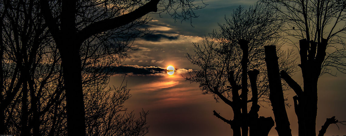 Sunset through the trees. Hey guys, this is my first photo on jungledragon. i welcome any feedback as i want to learn to get better. i picked this picture as this sunset stands out to me.  Geotagged,Netherlands,Spring
