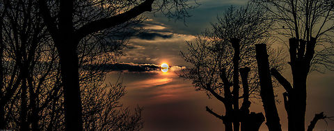 Sunset through the trees. Hey guys, this is my first photo on jungledragon. i welcome any feedback as i want to learn to get better. i picked this picture as this sunset stands out to me.  Geotagged,Netherlands,Spring