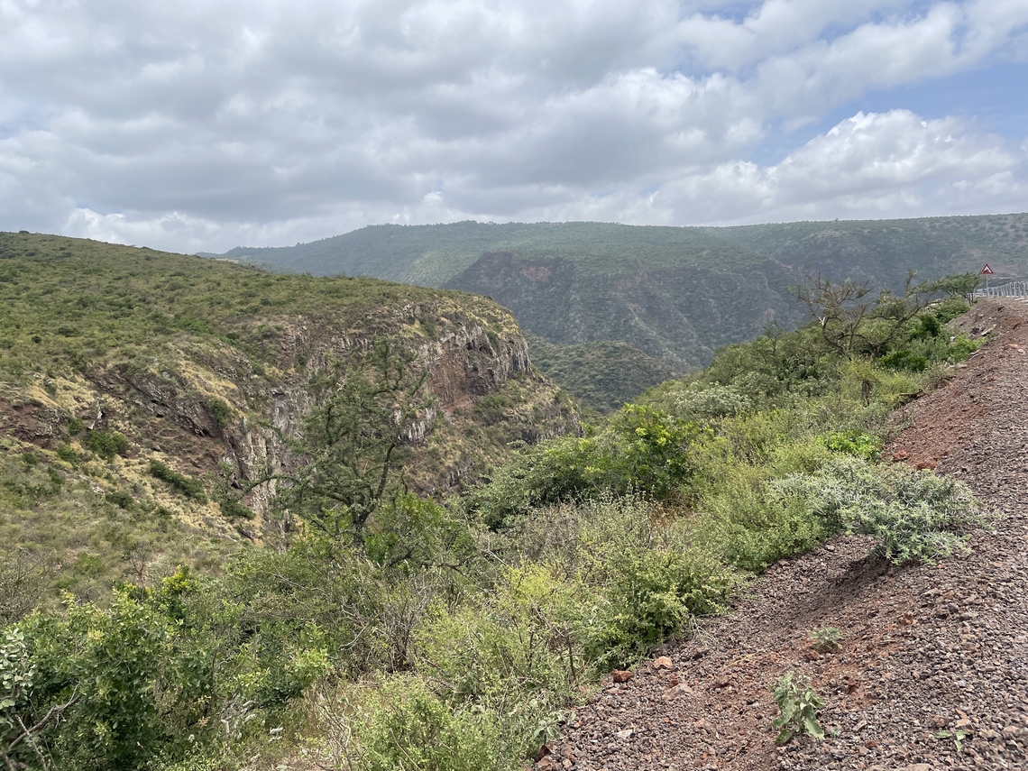Mount Kulal Bisphere Reserve <a href="https://en.wikipedia.org/wiki/Mount_Kulal" rel="nofollow">https://en.wikipedia.org/wiki/Mount_Kulal</a> Geotagged,Kenya,Winter