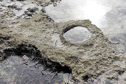 Unidentified rock formation , maybe coral related remnants. Large areas with these formations are visible at low tide. Australia,Eamw marine images,Geotagged,Summer