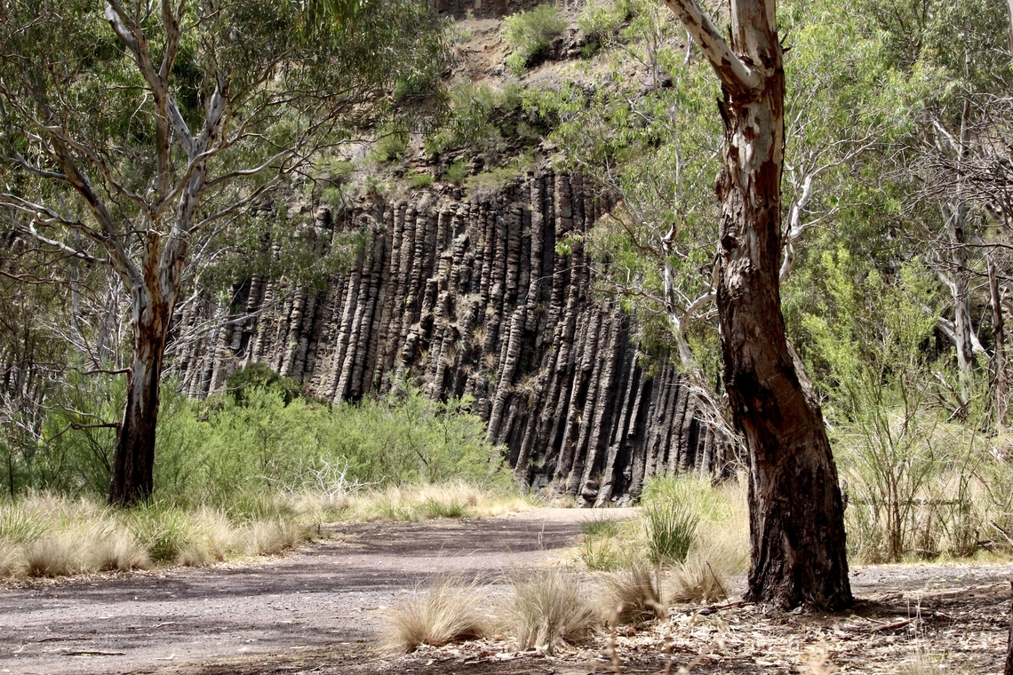 Volcanic basalt rock columns.- The Organ Pipes <a href="https://en.wikipedia.org/wiki/Organ_Pipes_National_Park" rel="nofollow">https://en.wikipedia.org/wiki/Organ_Pipes_National_Park</a><br />
Within Organ Pipes National Park, the valley walls of Jacksons Creek expose Pleistocene volcanic rocks of the New Volcanic Group. These 2.5 to 2.8 million year-old basalt lavas, commonly known as trap rock, fractured during cooling into vertically standing, hexagonal basalt columns. These columns are locally known as the &quot;organ pipes&quot; for which this park is named. Australia,Geotagged,Spring,eamw landscapes
