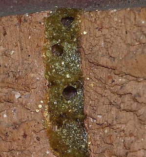 Brood chambers from Epsilon chartergiforme Found in mortar between bricks on a house wall. Australia,Eamw wasps,Epsilon chartergiforme,Geotagged,North Nowra Nsw,Winter