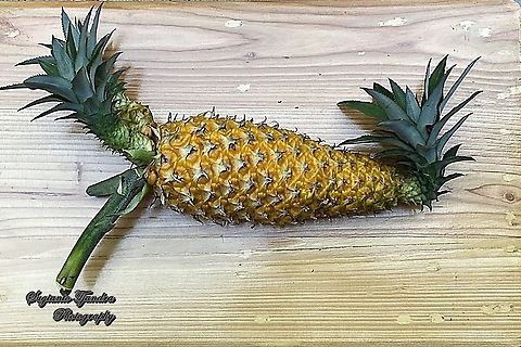 Pineapple  Geotagged,Indonesia,Winter