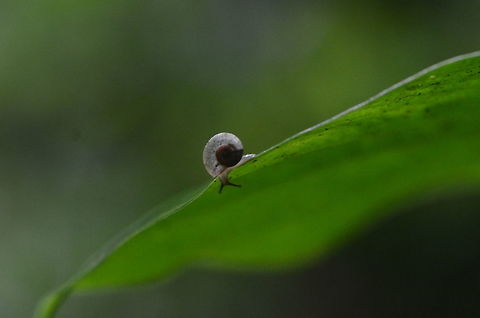 DSC_6083  Geotagged,India,Summer