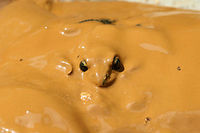 Pickerel Frog (Lithobates palustris) Having a Mud Bath Another frog rescued from muddy pits (some residential construction) at the edge of a dense mixed hardwood/coniferous forest in NW Georgia (Gordon County), US. July 17, 2018. It seemed rather happy in the mud, and I felt bad about having to take its new home! This particular frog thought it could hide in the mud! So cute!<br />
https://www.jungledragon.com/image/63231/southern_leopard_frog_lithobates_sphenocephalus_having_a_mud_bath.html<br />
https://www.jungledragon.com/image/126878/pickerel_frog_lithobates_palustris_having_a_mud_bath.html Geotagged,Lithobates palustris,Lithobates sphenocephalus,Pickerel frog,Summer,United States,amphibian,amphibians,frog,frogs,leopard frog,lithobates,southern leopard frog
