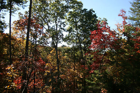 Autumn 2018 - Gordon County, Georgia, USA Dense mixed forest in Northwest Georgia, USA. 

These are views from our driveway and walking path!
https://www.jungledragon.com/image/68755/autumn_2018_-_gordon_county_georgia_usa.html
https://www.jungledragon.com/image/68754/autumn_2018_-_gordon_county_georgia_usa.html
https://www.jungledragon.com/image/68752/autumn_2018_-_gordon_county_georgia_usa.html Fall,Geotagged,United States