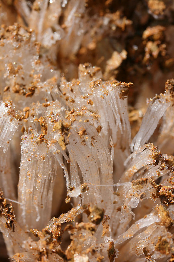 Needle Ice Formations It was a bitter day, but I got to view some really beautiful ice columns (aka &quot;needle ice&quot;) whilst on a short hike with my husband and father-in-law back in January of 2018.<br />
<br />
These ice formations occur when above freezing (moist) soil comes into contact with below freezing air. Water flowing below the soil is pulled up to the surface via capillary action and is frozen on contact with the air. Needle-like columns are formed as the water continues to be drawn up to surface.<br />
<figure class="photo"><a href="https://www.jungledragon.com/image/70967/needle_ice_formations.html" title="Needle Ice Formations"><img src="https://s3.amazonaws.com/media.jungledragon.com/images/3231/70967_thumb.JPG?AWSAccessKeyId=05GMT0V3GWVNE7GGM1R2&Expires=1759968010&Signature=M6hNMbo1a6avF4a%2FBQYeRKHDW1I%3D" width="102" height="152" alt="Needle Ice Formations It was a bitter day, but I got to view some really beautiful ice columns (aka &quot;needle ice&quot;) whilst on a short hike with my husband and father-in-law back in January of 2018.<br />
<br />
These ice formations occur when above freezing (moist) soil comes into contact with below freezing air. Water flowing below the soil is pulled up to the surface via capillary action and is frozen on contact with the air. Needle-like columns are formed as the water continues to be drawn up to surface.<br />
https://www.jungledragon.com/image/70963/needle_ice_formations.html<br />
https://www.jungledragon.com/image/70964/needle_ice_formations.html<br />
https://www.jungledragon.com/image/70965/needle_ice_formations.html Geotagged,United States,Winter,column ice,ice,ice columns,ice formation,ice formations,icy,needle ice,wintry" /></a></figure><br />
<figure class="photo"><a href="https://www.jungledragon.com/image/70964/needle_ice_formations.html" title="Needle Ice Formations"><img src="https://s3.amazonaws.com/media.jungledragon.com/images/3231/70964_thumb.JPG?AWSAccessKeyId=05GMT0V3GWVNE7GGM1R2&Expires=1759968010&Signature=pItiS%2BohoIu%2ByAiw076mcVaIKF8%3D" width="200" height="134" alt="Needle Ice Formations It was a bitter day, but I got to view some really beautiful ice columns (aka &quot;needle ice&quot;) whilst on a short hike with my husband and father-in-law back in January of 2018.<br />
<br />
These ice formations occur when above freezing (moist) soil comes into contact with below freezing air. Water flowing below the soil is pulled up to the surface via capillary action and is frozen on contact with the air. Needle-like columns are formed as the water continues to be drawn up to surface.<br />
https://www.jungledragon.com/image/70967/needle_ice_formations.html<br />
https://www.jungledragon.com/image/70963/needle_ice_formations.html<br />
https://www.jungledragon.com/image/70965/needle_ice_formations.html Geotagged,United States,Winter,column ice,ice,ice columns,ice formation,ice formations,icy,needle ice,wintry" /></a></figure><br />
<figure class="photo"><a href="https://www.jungledragon.com/image/70965/needle_ice_formations.html" title="Needle Ice Formations"><img src="https://s3.amazonaws.com/media.jungledragon.com/images/3231/70965_thumb.JPG?AWSAccessKeyId=05GMT0V3GWVNE7GGM1R2&Expires=1759968010&Signature=6qGVtHt3WyR6B5yYucWYjqpTHEU%3D" width="200" height="134" alt="Needle Ice Formations It was a bitter day, but I got to view some really beautiful ice columns (aka &quot;needle ice&quot;) whilst on a short hike with my husband and father-in-law back in January of 2018.<br />
<br />
These ice formations occur when above freezing (moist) soil comes into contact with below freezing air. Water flowing below the soil is pulled up to the surface via capillary action and is frozen on contact with the air. Needle-like columns are formed as the water continues to be drawn up to surface.<br />
https://www.jungledragon.com/image/70967/needle_ice_formations.html<br />
https://www.jungledragon.com/image/70964/needle_ice_formations.html<br />
https://www.jungledragon.com/image/70963/needle_ice_formations.html Geotagged,United States,Winter,column ice,ice,ice columns,ice formation,ice formations,icy,needle ice,wintry" /></a></figure> Geotagged,United States,Winter,column ice,ice columns,ice formation,ice formations,needle ice,winter,wintry
