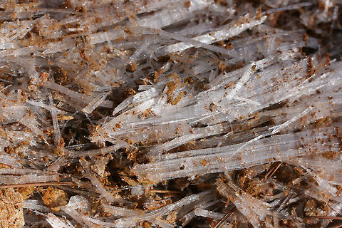 Needle Ice Formations It was a bitter day, but I got to view some really beautiful ice columns (aka "needle ice") whilst on a short hike with my husband and father-in-law back in January of 2018.

These ice formations occur when above freezing (moist) soil comes into contact with below freezing air. Water flowing below the soil is pulled up to the surface via capillary action and is frozen on contact with the air. Needle-like columns are formed as the water continues to be drawn up to surface.
https://www.jungledragon.com/image/70967/needle_ice_formations.html
https://www.jungledragon.com/image/70964/needle_ice_formations.html
https://www.jungledragon.com/image/70963/needle_ice_formations.html Geotagged,United States,Winter,column ice,ice,ice columns,ice formation,ice formations,icy,needle ice,wintry