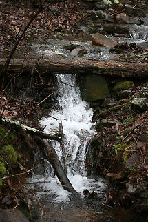 Waterfall - Chattahoochee-Oconee National Forest- March 2018 A rainy, winter hike at Chattahoochee-Oconee National Forest in Walker County, Georgia.
https://www.jungledragon.com/image/71071/waterfalls_at_chattahoochee-oconee_national_forest-_march_2018.html
https://www.jungledragon.com/image/71072/chattahoochee-oconee_national_forest-_march_2018.html
https://www.jungledragon.com/image/71073/chattahoochee-oconee_national_forest-_march_2018.html Appalachia,Appalachians,Georgia,Geotagged,Southern Appalachians,United States,Winter,forest,national forest,waterfall,waterfalls