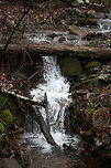 Waterfall - Chattahoochee-Oconee National Forest- March 2018 A rainy, winter hike at Chattahoochee-Oconee National Forest in Walker County, Georgia.<br />
https://www.jungledragon.com/image/71071/waterfalls_at_chattahoochee-oconee_national_forest-_march_2018.html<br />
https://www.jungledragon.com/image/71072/chattahoochee-oconee_national_forest-_march_2018.html<br />
https://www.jungledragon.com/image/71073/chattahoochee-oconee_national_forest-_march_2018.html Appalachia,Appalachians,Georgia,Geotagged,Southern Appalachians,United States,Winter,forest,national forest,waterfall,waterfalls