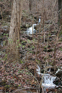 Waterfalls at Chattahoochee-Oconee National Forest- March 2018 A rainy, winter hike at Chattahoochee-Oconee National Forest in Walker County, Georgia.
https://www.jungledragon.com/image/71070/waterfall_-_chattahoochee-oconee_national_forest-_march_2018.html
https://www.jungledragon.com/image/71072/chattahoochee-oconee_national_forest-_march_2018.html
https://www.jungledragon.com/image/71073/chattahoochee-oconee_national_forest-_march_2018.html Appalachia,Appalachians,Georgia,Geotagged,Southern Appalachians,United States,Winter,forest,national forest,waterfall,waterfalls