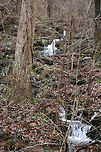 Waterfalls at Chattahoochee-Oconee National Forest- March 2018 A rainy, winter hike at Chattahoochee-Oconee National Forest in Walker County, Georgia.<br />
https://www.jungledragon.com/image/71070/waterfall_-_chattahoochee-oconee_national_forest-_march_2018.html<br />
https://www.jungledragon.com/image/71072/chattahoochee-oconee_national_forest-_march_2018.html<br />
https://www.jungledragon.com/image/71073/chattahoochee-oconee_national_forest-_march_2018.html Appalachia,Appalachians,Georgia,Geotagged,Southern Appalachians,United States,Winter,forest,national forest,waterfall,waterfalls