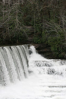DeSoto Falls in Mentone, Alabama We didn't know exactly where the trail system began for the best view of the falls, but the shots at the top were rather lovely. The heavy rains this fall and winter made for some roaring rapids!
https://www.jungledragon.com/image/72015/desoto_falls_in_mentone_alabama.html
https://www.jungledragon.com/image/72012/desoto_falls_in_mentone_alabama.html
https://www.jungledragon.com/image/72014/desoto_falls_in_mentone_alabama.html Alabama,DeSoto Falls,Geotagged,Southeastern US,United States,Winter,desoto falls,rapids,river,south,waterfall,waterfalls