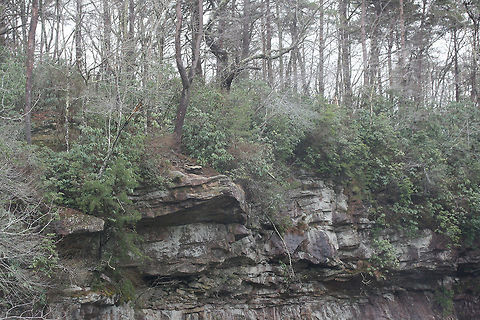 Mentone, Alabama - Winter 2018/19 Mountains surround DeSoto Falls in Mentone, Alabama.
https://www.jungledragon.com/image/72016/mentone_alabama_-_winter_201819.html Alabama,Appalachians,DeSoto Falls,Geotagged,Southeastern US,Southern Appalachians,United States,Winter,desoto falls,south