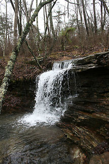 Lost Falls - Fort Payne, Alabama A small waterfall on the Laurel Trail at DeSoto State Park in Fort Payne, Alabama. Alabama,DeSoto State Park,Geotagged,Lost Falls,United States,Winter,lost falls,water,waterfall,waterfalls