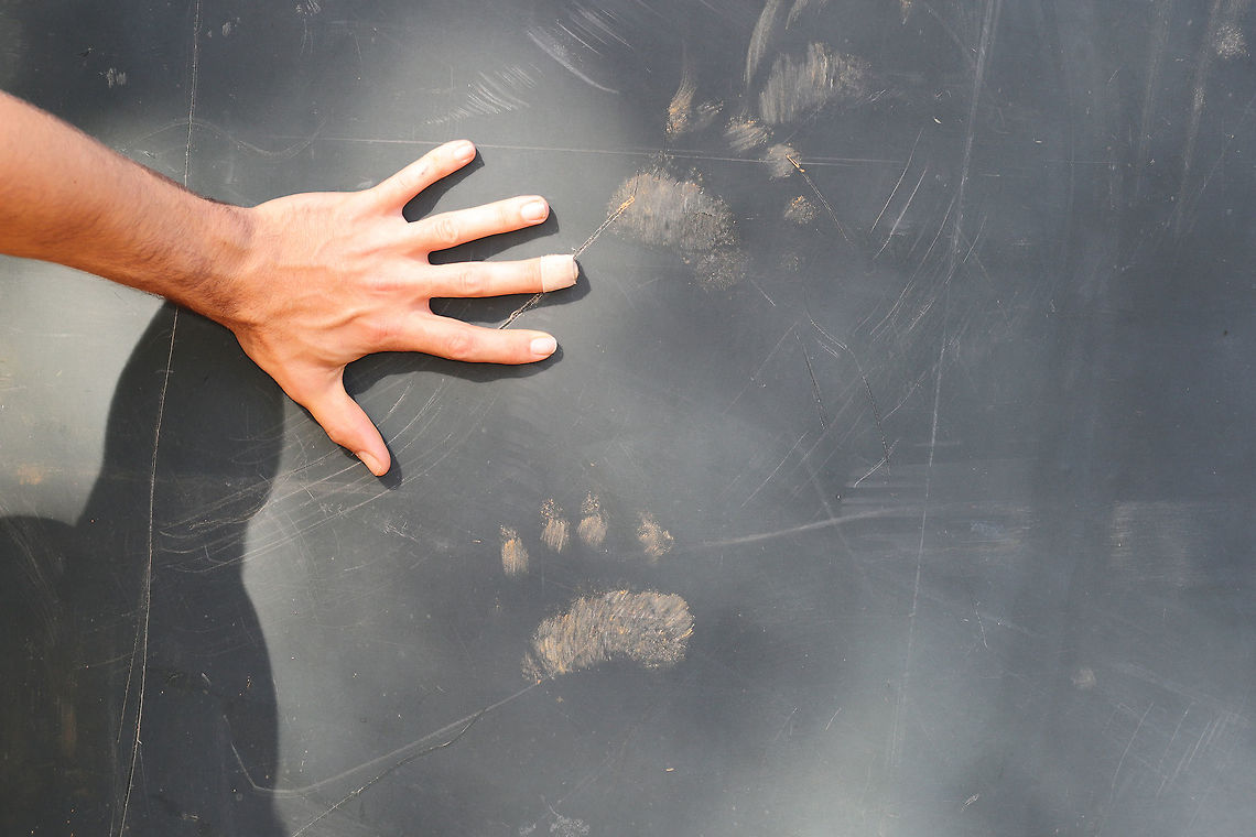 American Black Bear (Ursus americanus) Paw Prints Apparently, a young black bear attempted to climb our water storage tank recently. We have had a very hot, dry spring (with a record-breaking heat wave), so maybe it was trying to access some water or even cool off? Additionally, it wrestled some of our piping out of the ground (which wasn't fully buried)--so that was an entertaining mess to stumble upon. :) <br />
<br />
Jason's large hand for reference here ;)<br />
<figure class="photo"><a href="https://www.jungledragon.com/image/79827/american_black_bear_ursus_americanus_paw_prints.html" title="American Black Bear (Ursus americanus) Paw Prints"><img src="https://s3.amazonaws.com/media.jungledragon.com/images/3231/79827_thumb.jpg?AWSAccessKeyId=05GMT0V3GWVNE7GGM1R2&Expires=1759968010&Signature=SCcwdWdbulKZpoPF3bVnH4y3ih0%3D" width="102" height="152" alt="American Black Bear (Ursus americanus) Paw Prints Apparently, a young black bear attempted to climb our water storage tank recently. We have had a very hot, dry spring (with a record-breaking heat wave), so maybe it was trying to access some water or even cool off? Additionally, it wrestled some of our piping out of the ground (which wasn't fully buried)--so that was an entertaining mess to stumble upon. :) <br />
https://www.jungledragon.com/image/79826/american_black_bear_ursus_americanus_paw_prints.html Geotagged,Spring,United States" /></a></figure> Geotagged,Spring,United States
