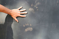 American Black Bear (Ursus americanus) Paw Prints Apparently, a young black bear attempted to climb our water storage tank recently. We have had a very hot, dry spring (with a record-breaking heat wave), so maybe it was trying to access some water or even cool off? Additionally, it wrestled some of our piping out of the ground (which wasn't fully buried)--so that was an entertaining mess to stumble upon. :) <br />
<br />
Jason's large hand for reference here ;)<br />
https://www.jungledragon.com/image/79827/american_black_bear_ursus_americanus_paw_prints.html Geotagged,Spring,United States
