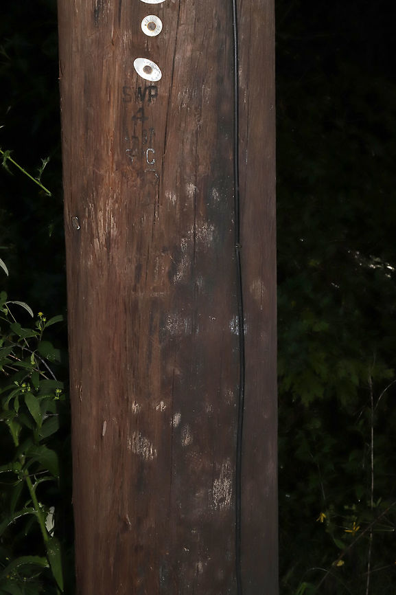 American Black Bear (Ursus americanus) Paw Prints Tracks/scratch marks on a power pole at the edge of a dense mixed forest. Apparently the bears like to climb power poles in our area! :D<br />
<figure class="photo"><a href="https://www.jungledragon.com/image/83561/american_black_bear_ursus_americanus_scratch_marks.html" title="American Black Bear (Ursus americanus) Scratch Marks"><img src="https://s3.amazonaws.com/media.jungledragon.com/images/3231/83561_thumb.jpg?AWSAccessKeyId=05GMT0V3GWVNE7GGM1R2&Expires=1759968010&Signature=ep7GWT%2BVikrx2DijaBkBJyj49aY%3D" width="102" height="152" alt="American Black Bear (Ursus americanus) Scratch Marks Tracks/scratch marks on a power pole at the edge of a dense mixed forest. Apparently the bears like to climb power poles in our area! :D<br />
https://www.jungledragon.com/image/83560/american_black_bear_ursus_americanus_paw_prints.html Geotagged,Summer,United States" /></a></figure> Geotagged,Summer,United States