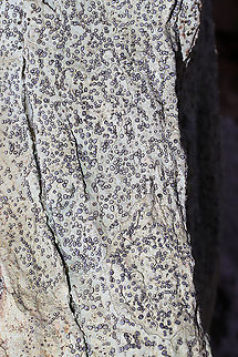 Smokey-eyed Boulder Lichen (Porpidia albocaerulescens) Growing on a large stone in a dense mixed forest. 
https://www.jungledragon.com/image/88710/smokey-eyed_boulder_lichen_porpidia_albocaerulescens.html
https://www.jungledragon.com/image/88709/smokey-eyed_boulder_lichen_porpidia_albocaerulescens.html Geotagged,Porpidia Lichen,Porpidia albocaerulescens,United States,Winter