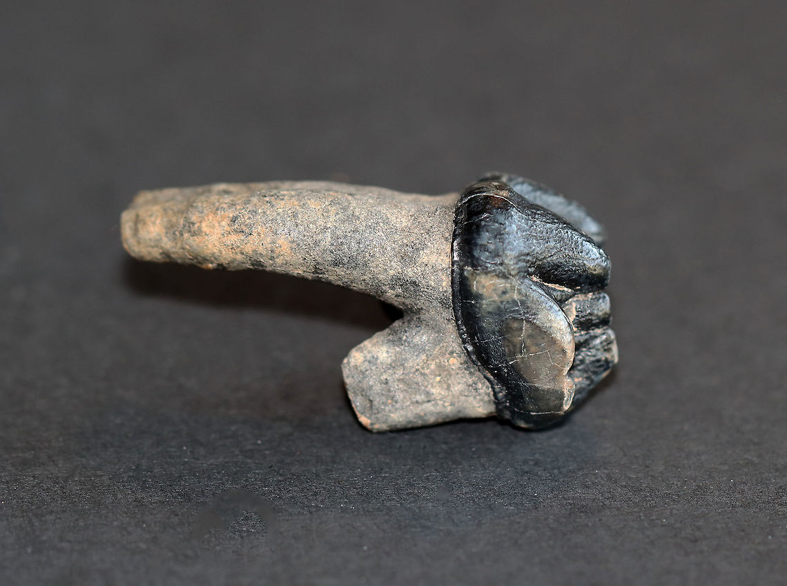 Fossilized Manatee Molar - Trichechus sp. Manatees don't have any canines or incisors. They only "grinding" teeth (molars). These teeth are constantly replaced throughout life, with new teeth growing at the rear as older teeth fall out from the front of the mouth. Manatees don't usually have more than six teeth in each jaw of its mouth at a time. Tooth replacement is an adaptation to the manatee's diet as they eat plants that hold sand, which can wear down their teeth. <br />
<br />
<br />
**I have a fairly large collection of natural curiosities and decided to share some on JungleDragon. I have been collecting bits of nature for years and also have many friends who have shared things with me. Everything in my collection was ethically collected/harvested/sourced and is cruelty-free. Fall,Geotagged,Trichechus,United States,fossil,manatee molar,manatee tooth,molar,tooth