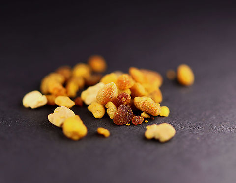 Harvested Bee (Apis mellifera) Pollen (Bee Bread) Bee bread is a combination of pollen and nectar (or honey). The exact composition varies depending on the plants that the bees foraged from, the location, the season, and even the time of the day. Plus, the bees add secretions, bacteria, and fungi to the bread. These ingredients help break down the pollen, thus releasing amino acids and other nutrients from the pollen.

Bee bread is the main source of food for honey bees. 

**I have a fairly large collection of natural curiosities and decided to share some on JungleDragon. I have been collecting bits of nature for years and also have many friends who have shared things with me. Everything in my collection was ethically collected/harvested/sourced and is cruelty-free. Apis mellifera,Geotagged,United States,Winter,ambrosia,apis,bee bread,bee pollen,pollen