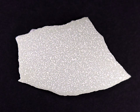 Mute Swan (Cygnus olor) Eggshell Fragment Mute swans lay 4-10 eggs at a time, which the female broods for approximately 36 days.

**I have a fairly large collection of natural curiosities and decided to share some on JungleDragon. I have been collecting bits of nature for years and also have many friends who have shared things with me. Everything in my collection was ethically collected/harvested/sourced and is cruelty-free. Cygnus,Cygnus olor,Geotagged,United States,Winter,egg,eggshell,mute swan,swan egg