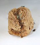 Praying Mantis Egg Case (Ootheca), Parasitized by Podagrion sp. Wasps I was given a praying mantis ootheca and told that it was not viable. I kept it in a vial and a month or so after receiving it, and then I noticed that the jar was full of mantis nymphs and tiny wasps. <br />
<br />
I know that the ootheca was collected in the US, but I am not sure where...yet.<br />
https://www.jungledragon.com/image/114867/parasitoid_wasp_-_podagrion_sp.html<br />
https://www.jungledragon.com/image/114872/parasitoid_wasp_-_podagrion_sp.html<br />
https://www.jungledragon.com/image/114871/praying_mantis_egg_case_ootheca_parasitized_by_podagrion_sp._wasps.html<br />
https://www.jungledragon.com/image/114868/parasitoid_wasp_-_podagrion_sp.html<br />
https://www.jungledragon.com/image/114870/praying_mantis_egg_case_ootheca_parasitized_by_podagrion_sp._wasps.html Mantidae,Parasitoid wasp,egg case,eggs,ootheca,praying mantis,praying mantis eggs