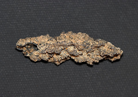 Fulgurite (Petrified Lightning) Fulgurites are natural tubes that are formed (by the fusion of quartz, sand, or rock) from a lightning strike. Their shape mimics the path of the lightning as it disperses into the ground. This fulgurite is from the Sahara Desert.

*Specimen Geotagged,United States,Winter,fulgurite,lightning strike,petrified lightning,sand
