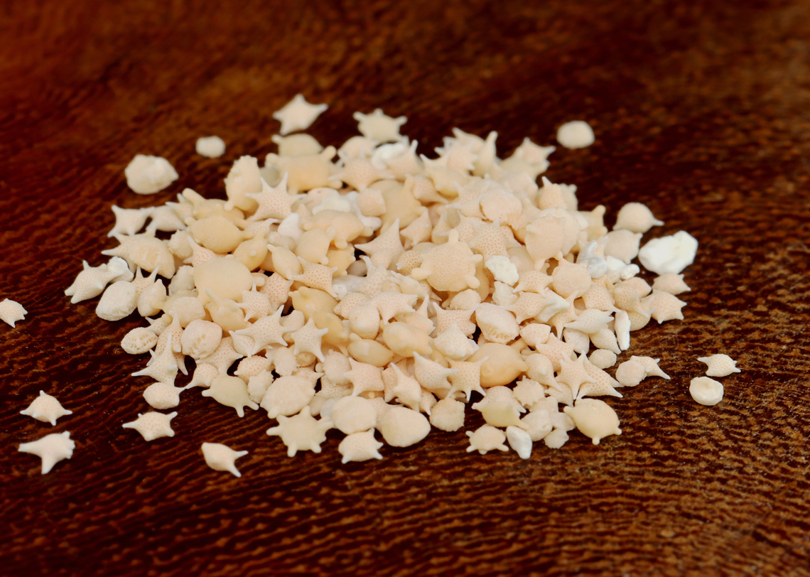 Star Sand - Baculogypsina sphaerulata One of the rarest forms of sand, star sand, is a scientific marvel. Found on the Taketomi, Hatoma, and Iriomote islands of Japan, star sand is exactly what the name implies &mdash; small pieces of sand (0.2 - 0.5 mm) in the shape of stars.<br />
<br />
Each little star is the exoskeleton of small, single-celled organisms known as Foraminifera. This means that, though the sand is no longer alive, it once was part of a living organism in the Pacific Ocean. When Foraminifera die, their shells remain in the sea and the tide brings them ashore.<br />
<br />
*Specimen<br />
<figure class="photo"><a href="https://www.jungledragon.com/image/132713/star_sand_-_baculogypsina_sphaerulata.html" title="Star Sand - Baculogypsina sphaerulata"><img src="https://s3.amazonaws.com/media.jungledragon.com/images/3232/132713_thumb.jpg?AWSAccessKeyId=05GMT0V3GWVNE7GGM1R2&Expires=1767225610&Signature=vJJaK%2B4MIkWqx0Juc0J74PzvdA0%3D" width="200" height="140" alt="Star Sand - Baculogypsina sphaerulata One of the rarest forms of sand, star sand, is a scientific marvel. Found on the Taketomi, Hatoma, and Iriomote islands of Japan, star sand is exactly what the name implies &mdash; small, millimeter-sized pieces of sand in the shape of stars. <br />
<br />
Each little star is the exoskeleton of small, single-celled organisms known as Foraminifera. This means that, though the sand is no longer alive, it once was part of a living organism in the Pacific Ocean. When Foraminifera die, their shells remain in the sea and the tide brings them ashore.<br />
<br />
*Specimen<br />
https://www.jungledragon.com/image/132713/star_sand_-_baculogypsina_sphaerulata.html<br />
https://www.jungledragon.com/image/132715/star_sand_-_baculogypsina_sphaerulata.html<br />
https://www.jungledragon.com/image/132714/star_sand_-_baculogypsina_sphaerulata.html Baculogypsina,Baculogypsina sphaerulata,Geotagged,Spring,Star Sand,United States,foraminifera,protista,sand" /></a></figure><br />
<figure class="photo"><a href="https://www.jungledragon.com/image/132715/star_sand_-_baculogypsina_sphaerulata.html" title="Star Sand - Baculogypsina sphaerulata"><img src="https://s3.amazonaws.com/media.jungledragon.com/images/3232/132715_thumb.jpg?AWSAccessKeyId=05GMT0V3GWVNE7GGM1R2&Expires=1767225610&Signature=NpsWIlJGQ6%2BAg90rZaMznY8YuwY%3D" width="200" height="144" alt="Star Sand - Baculogypsina sphaerulata One of the rarest forms of sand, star sand, is a scientific marvel. Found on the Taketomi, Hatoma, and Iriomote islands of Japan, star sand is exactly what the name implies &mdash; small pieces of sand (0.2 - 0.5 mm) in the shape of stars.<br />
<br />
Each little star is the exoskeleton of small, single-celled organisms known as Foraminifera. This means that, though the sand is no longer alive, it once was part of a living organism in the Pacific Ocean. When Foraminifera die, their shells remain in the sea and the tide brings them ashore.<br />
<br />
*Specimen<br />
https://www.jungledragon.com/image/132713/star_sand_-_baculogypsina_sphaerulata.html<br />
https://www.jungledragon.com/image/132715/star_sand_-_baculogypsina_sphaerulata.html<br />
https://www.jungledragon.com/image/132714/star_sand_-_baculogypsina_sphaerulata.html Baculogypsina sphaerulata,Geotagged,Spring,Star Sand,United States" /></a></figure><br />
<figure class="photo"><a href="https://www.jungledragon.com/image/132714/star_sand_-_baculogypsina_sphaerulata.html" title="Star Sand - Baculogypsina sphaerulata"><img src="https://s3.amazonaws.com/media.jungledragon.com/images/3232/132714_thumb.jpg?AWSAccessKeyId=05GMT0V3GWVNE7GGM1R2&Expires=1767225610&Signature=mgI4gxKD%2BAGx0wWqiiEyHRFhSc0%3D" width="110" height="152" alt="Star Sand - Baculogypsina sphaerulata One of the rarest forms of sand, star sand, is a scientific marvel. Found on the Taketomi, Hatoma, and Iriomote islands of Japan, star sand is exactly what the name implies &mdash; small, millimeter-sized pieces of sand in the shape of stars.<br />
<br />
Each little star is the exoskeleton of small, single-celled organisms known as Foraminifera. This means that, though the sand is no longer alive, it once was part of a living organism in the Pacific Ocean. When Foraminifera die, their shells remain in the sea and the tide brings them ashore.<br />
<br />
*Specimen<br />
https://www.jungledragon.com/image/132713/star_sand_-_baculogypsina_sphaerulata.html<br />
https://www.jungledragon.com/image/132715/star_sand_-_baculogypsina_sphaerulata.html<br />
https://www.jungledragon.com/image/132714/star_sand_-_baculogypsina_sphaerulata.html Baculogypsina sphaerulata,Geotagged,Spring,Star Sand,United States" /></a></figure> Baculogypsina sphaerulata,Geotagged,Spring,Star Sand,United States