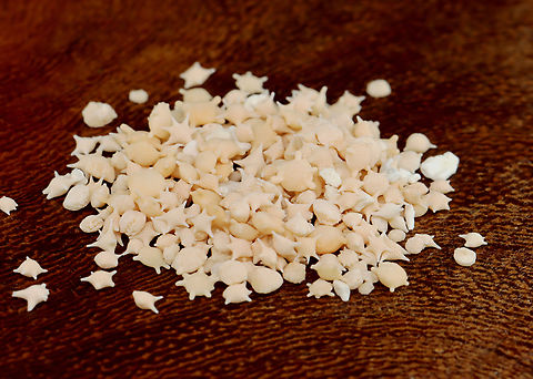 Star Sand - Baculogypsina sphaerulata One of the rarest forms of sand, star sand, is a scientific marvel. Found on the Taketomi, Hatoma, and Iriomote islands of Japan, star sand is exactly what the name implies — small pieces of sand (0.2 - 0.5 mm) in the shape of stars.

Each little star is the exoskeleton of small, single-celled organisms known as Foraminifera. This means that, though the sand is no longer alive, it once was part of a living organism in the Pacific Ocean. When Foraminifera die, their shells remain in the sea and the tide brings them ashore.

*Specimen
https://www.jungledragon.com/image/132713/star_sand_-_baculogypsina_sphaerulata.html
https://www.jungledragon.com/image/132715/star_sand_-_baculogypsina_sphaerulata.html
https://www.jungledragon.com/image/132714/star_sand_-_baculogypsina_sphaerulata.html Baculogypsina sphaerulata,Geotagged,Spring,Star Sand,United States