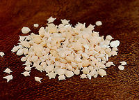 Star Sand - Baculogypsina sphaerulata One of the rarest forms of sand, star sand, is a scientific marvel. Found on the Taketomi, Hatoma, and Iriomote islands of Japan, star sand is exactly what the name implies — small pieces of sand (0.2 - 0.5 mm) in the shape of stars.<br />
<br />
Each little star is the exoskeleton of small, single-celled organisms known as Foraminifera. This means that, though the sand is no longer alive, it once was part of a living organism in the Pacific Ocean. When Foraminifera die, their shells remain in the sea and the tide brings them ashore.<br />
<br />
*Specimen<br />
https://www.jungledragon.com/image/132713/star_sand_-_baculogypsina_sphaerulata.html<br />
https://www.jungledragon.com/image/132715/star_sand_-_baculogypsina_sphaerulata.html<br />
https://www.jungledragon.com/image/132714/star_sand_-_baculogypsina_sphaerulata.html Baculogypsina sphaerulata,Geotagged,Spring,Star Sand,United States