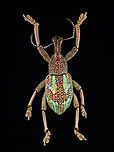 Weevil - Rhinoscapha dohrni *Pinned specimen from Indonesia<br />
https://www.jungledragon.com/image/135524/weevil_-_rhinoscapha_dohrni.html<br />
https://www.jungledragon.com/image/135523/weevil_-_rhinoscapha_dohrni.html<br />
https://www.jungledragon.com/image/135521/weevil_-_rhinoscapha_dohrni.html<br />
https://www.jungledragon.com/image/135522/weevil_-_rhinoscapha_dohrni.html Geotagged,Rhinoscapha,Rhinoscapha dohrni,Spring,United States,beetle,weevil