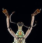 Weevil - Rhinoscapha dohrni *Pinned specimen from Indonesia<br />
https://www.jungledragon.com/image/135524/weevil_-_rhinoscapha_dohrni.html<br />
https://www.jungledragon.com/image/135523/weevil_-_rhinoscapha_dohrni.html<br />
https://www.jungledragon.com/image/135521/weevil_-_rhinoscapha_dohrni.html<br />
https://www.jungledragon.com/image/135522/weevil_-_rhinoscapha_dohrni.html Geotagged,Rhinoscapha dohrni,Spring,United States