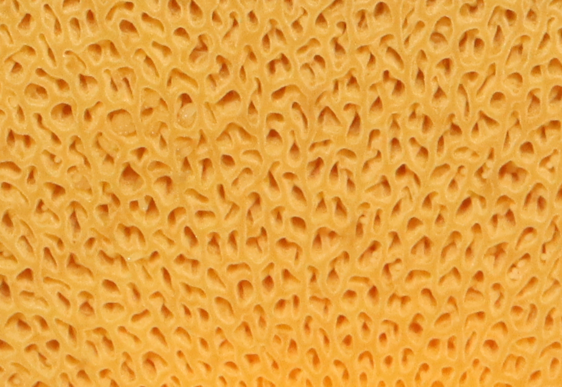 Painted Suillus - Suillus spraguei Habitat: Growing under pine; Mixed forest<br />
<figure class="photo"><a href="https://www.jungledragon.com/image/141145/painted_suillus_-_suillus_spraguei.html" title="Painted Suillus - Suillus spraguei"><img src="https://s3.amazonaws.com/media.jungledragon.com/images/3232/141145_thumb.jpg?AWSAccessKeyId=05GMT0V3GWVNE7GGM1R2&Expires=1767225610&Signature=t48lalc2a%2FkLr7%2F%2BXnCiKoxtZMs%3D" width="200" height="144" alt="Painted Suillus - Suillus spraguei Habitat: Growing under pine; Mixed forest<br />
https://www.jungledragon.com/image/141145/painted_suillus_-_suillus_spraguei.html<br />
https://www.jungledragon.com/image/141144/painted_suillus_-_suillus_spraguei.html<br />
https://www.jungledragon.com/image/141143/painted_suillus_-_suillus_spraguei.html<br />
https://www.jungledragon.com/image/141142/painted_suillus_-_suillus_spraguei.html Geotagged,Painted Suillus,Suillus,Suillus spraguei,Summer,United States,fungus,mushroom" /></a></figure><br />
<figure class="photo"><a href="https://www.jungledragon.com/image/141144/painted_suillus_-_suillus_spraguei.html" title="Painted Suillus - Suillus spraguei"><img src="https://s3.amazonaws.com/media.jungledragon.com/images/3232/141144_thumb.jpg?AWSAccessKeyId=05GMT0V3GWVNE7GGM1R2&Expires=1767225610&Signature=zRL%2B%2B%2BZqvaTHfIgb0MkjkdyDIIw%3D" width="144" height="152" alt="Painted Suillus - Suillus spraguei Habitat: Growing under pine; Mixed forest<br />
https://www.jungledragon.com/image/141145/painted_suillus_-_suillus_spraguei.html<br />
https://www.jungledragon.com/image/141144/painted_suillus_-_suillus_spraguei.html<br />
https://www.jungledragon.com/image/141143/painted_suillus_-_suillus_spraguei.html<br />
https://www.jungledragon.com/image/141142/painted_suillus_-_suillus_spraguei.html Geotagged,Painted Suillus,Suillus spraguei,Summer,United States" /></a></figure><br />
<figure class="photo"><a href="https://www.jungledragon.com/image/141143/painted_suillus_-_suillus_spraguei.html" title="Painted Suillus - Suillus spraguei"><img src="https://s3.amazonaws.com/media.jungledragon.com/images/3232/141143_thumb.jpg?AWSAccessKeyId=05GMT0V3GWVNE7GGM1R2&Expires=1767225610&Signature=LWFWfryCGJAmXm4Cy71M70MFJfg%3D" width="200" height="152" alt="Painted Suillus - Suillus spraguei Habitat: Growing under pine; Mixed forest<br />
https://www.jungledragon.com/image/141145/painted_suillus_-_suillus_spraguei.html<br />
https://www.jungledragon.com/image/141144/painted_suillus_-_suillus_spraguei.html<br />
https://www.jungledragon.com/image/141143/painted_suillus_-_suillus_spraguei.html<br />
https://www.jungledragon.com/image/141142/painted_suillus_-_suillus_spraguei.html Geotagged,Painted Suillus,Suillus spraguei,Summer,United States" /></a></figure><br />
<figure class="photo"><a href="https://www.jungledragon.com/image/141142/painted_suillus_-_suillus_spraguei.html" title="Painted Suillus - Suillus spraguei"><img src="https://s3.amazonaws.com/media.jungledragon.com/images/3232/141142_thumb.jpg?AWSAccessKeyId=05GMT0V3GWVNE7GGM1R2&Expires=1767225610&Signature=56fk%2FwTP7vLp6JR2ChFN4qLbyfE%3D" width="200" height="138" alt="Painted Suillus - Suillus spraguei Habitat: Growing under pine; Mixed forest<br />
https://www.jungledragon.com/image/141145/painted_suillus_-_suillus_spraguei.html<br />
https://www.jungledragon.com/image/141144/painted_suillus_-_suillus_spraguei.html<br />
https://www.jungledragon.com/image/141143/painted_suillus_-_suillus_spraguei.html<br />
https://www.jungledragon.com/image/141142/painted_suillus_-_suillus_spraguei.html Geotagged,Painted Suillus,Suillus spraguei,Summer,United States" /></a></figure> Geotagged,Painted Suillus,Suillus spraguei,Summer,United States