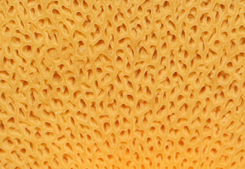 Painted Suillus - Suillus spraguei Habitat: Growing under pine; Mixed forest
https://www.jungledragon.com/image/141145/painted_suillus_-_suillus_spraguei.html
https://www.jungledragon.com/image/141144/painted_suillus_-_suillus_spraguei.html
https://www.jungledragon.com/image/141143/painted_suillus_-_suillus_spraguei.html
https://www.jungledragon.com/image/141142/painted_suillus_-_suillus_spraguei.html Geotagged,Painted Suillus,Suillus spraguei,Summer,United States