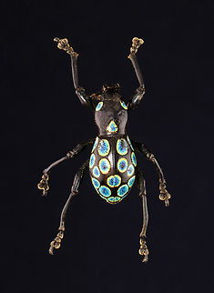 Weevil - Pachyrhynchus pavonius This is such a beautiful species, but unfortunately the head on this specimen looks like it went through a shredder. Thankfully, the lighting is not good in the photo to highlight that feature.

*Pinned specimen; native to the Philippines

 Pachyrhynchus,Pachyrhynchus pavonius,Pachyrrhynchus,beetle,curculionidae,weevil