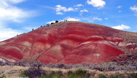 Painted Hills These hills get their name from the amazingly colored stratifications in the soil that are yellow, red, and black. The  hues constantly appear to change because the claystones differ with the light and moisture levels.    Geotagged,Painted Hills,Summer,United States,landscape,oregon
