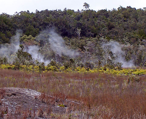 Volcanic Steam Vents -  Kīlauea The steam in this photo is coming from active volcano steam vents on the shield volcano, Kīlauea, which is on the Big Island of Hawaii.

When rain trickles down through cracks, it hits rocks heated by the liquid rock below. The hot water rises through fissures and condenses in the air as steam. It's warm, but not too hot. Geotagged,Kīlauea,Spring,United States,hawaii,shield volcano,steam vents,sulphur dioxide gas,volcanic steam vents