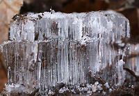 Needle Ice Needle ice occurs when the temperature of the soil is above 0 &deg;C (32 &deg;F), but the surface temperature of the air is below 0 &deg;C (32 &deg;F). The underground liquid water is brought to the surface via capillary action, where it freezes and contributes to a growing needle-like ice column.<br />
<br />
Habitat: Deciduous forest. These were everywhere and many were quite large. They make walking tricky as they are hiding under leaves and collapse when you step on them. Geotagged,United States,Winter,frost heave,hoar frost,ice,needle ice